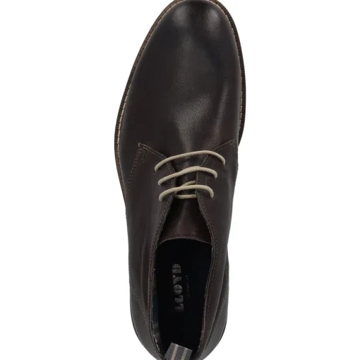 Lloyd Daniel 21542, Desert Boots, Herren, Braun (Brown)